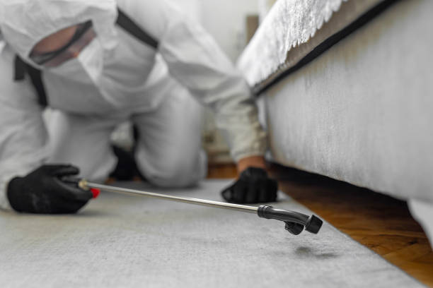 Professional Cockroach Control technician working in Pixley, CA